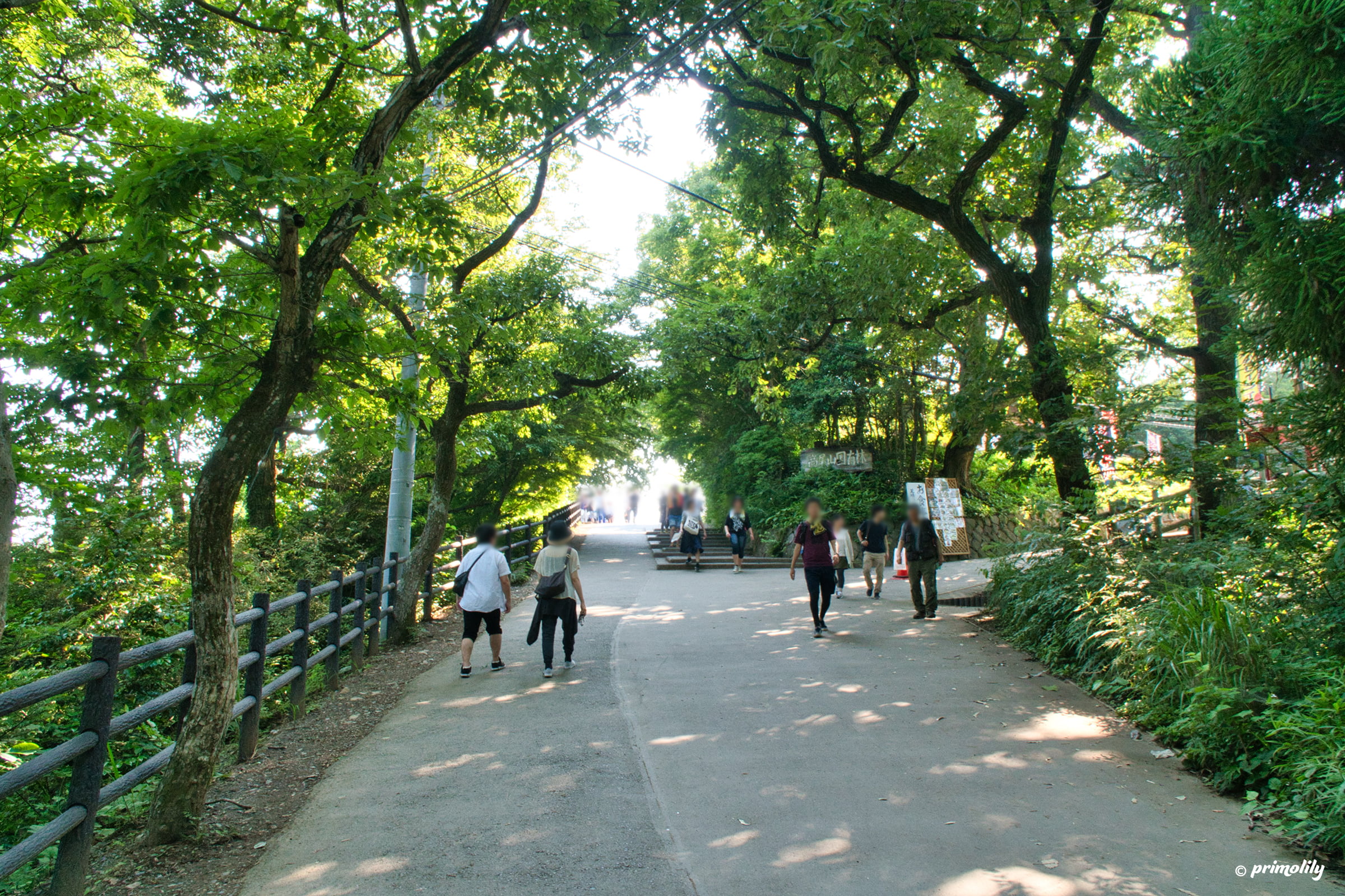 高尾山で片道1時間のお気軽登山 一汗かいたら温泉でさっぱり Primolily